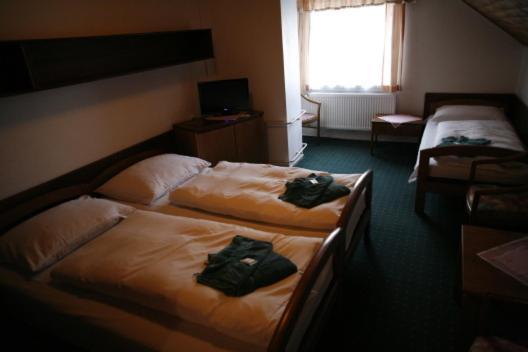 Hotel Star 4,5 Loučná pod Klínovcem Rom bilde